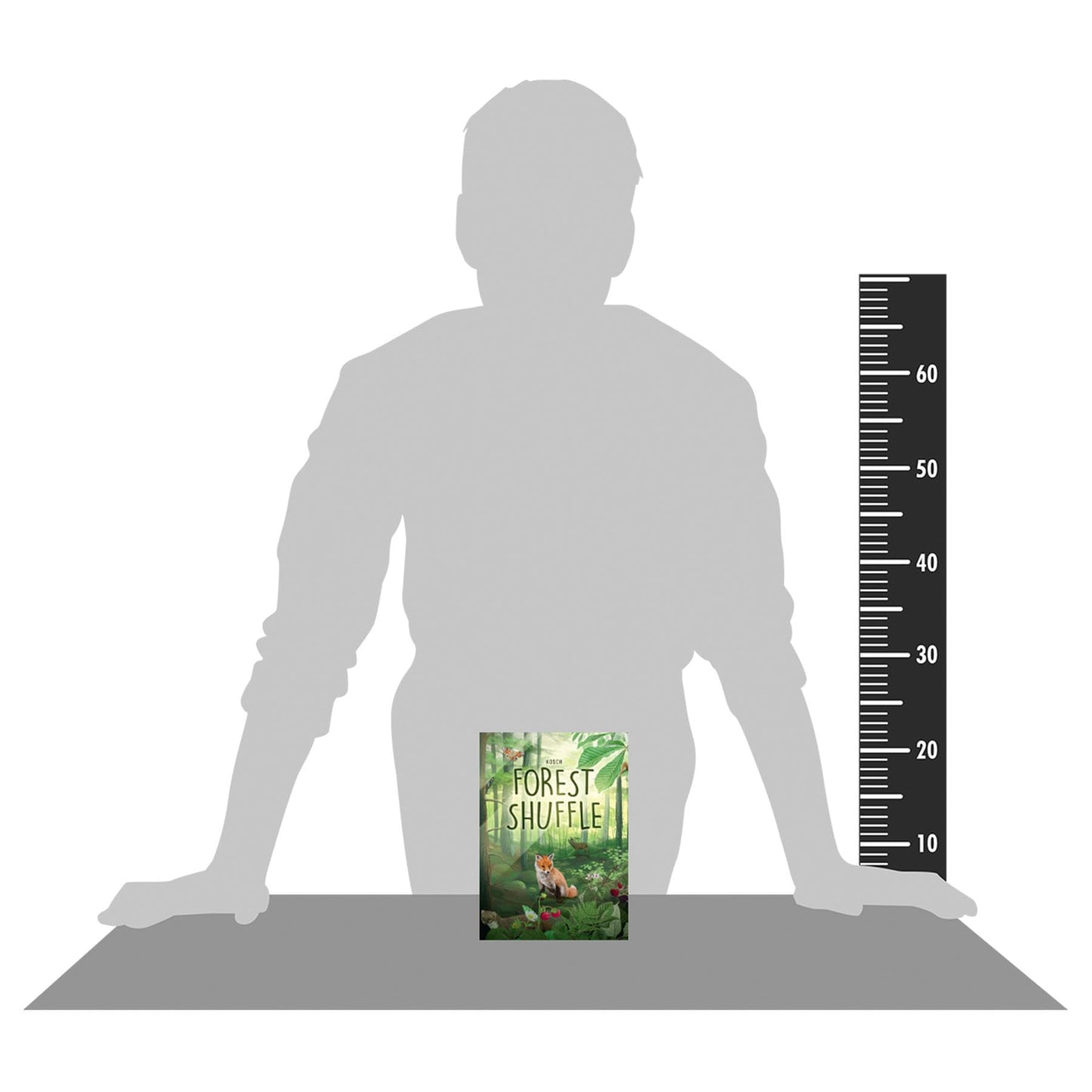 Lookout Games | Forest Shuffle | Juego de Mesa de Estrategia para Adultos y Familias | A Partir de 10 Años | De 2 a 4 Jugadores | 60 Minutos por Partida | Español
