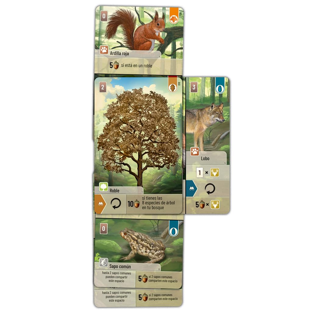 Lookout Games | Forest Shuffle | Juego de Mesa de Estrategia para Adultos y Familias | A Partir de 10 Años | De 2 a 4 Jugadores | 60 Minutos por Partida | Español