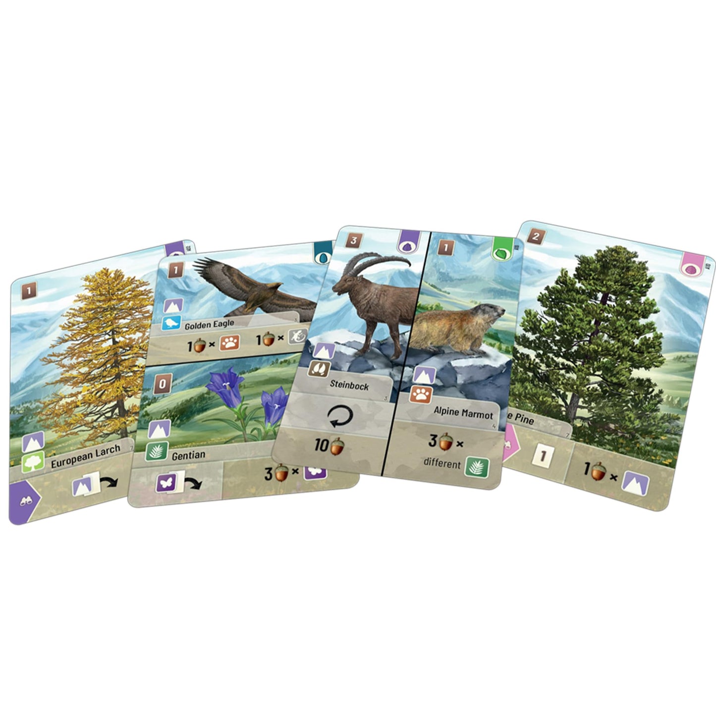 Lookout Expansión del juego de cartas Forest Shuffle Alpine - 36 cartas nuevas para un juego mejorado. Añade nuevas especies y árboles, juego de estrategia para niños y adultos, a partir de 10 años, 2