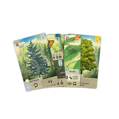 Lookout Games | Forest Shuffle | Juego de Mesa de Estrategia para Adultos y Familias | A Partir de 10 Años | De 2 a 4 Jugadores | 60 Minutos por Partida | Español
