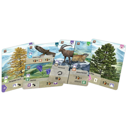 Lookout Expansión del juego de cartas Forest Shuffle Alpine - 36 cartas nuevas para un juego mejorado. Añade nuevas especies y árboles, juego de estrategia para niños y adultos, a partir de 10 años, 2